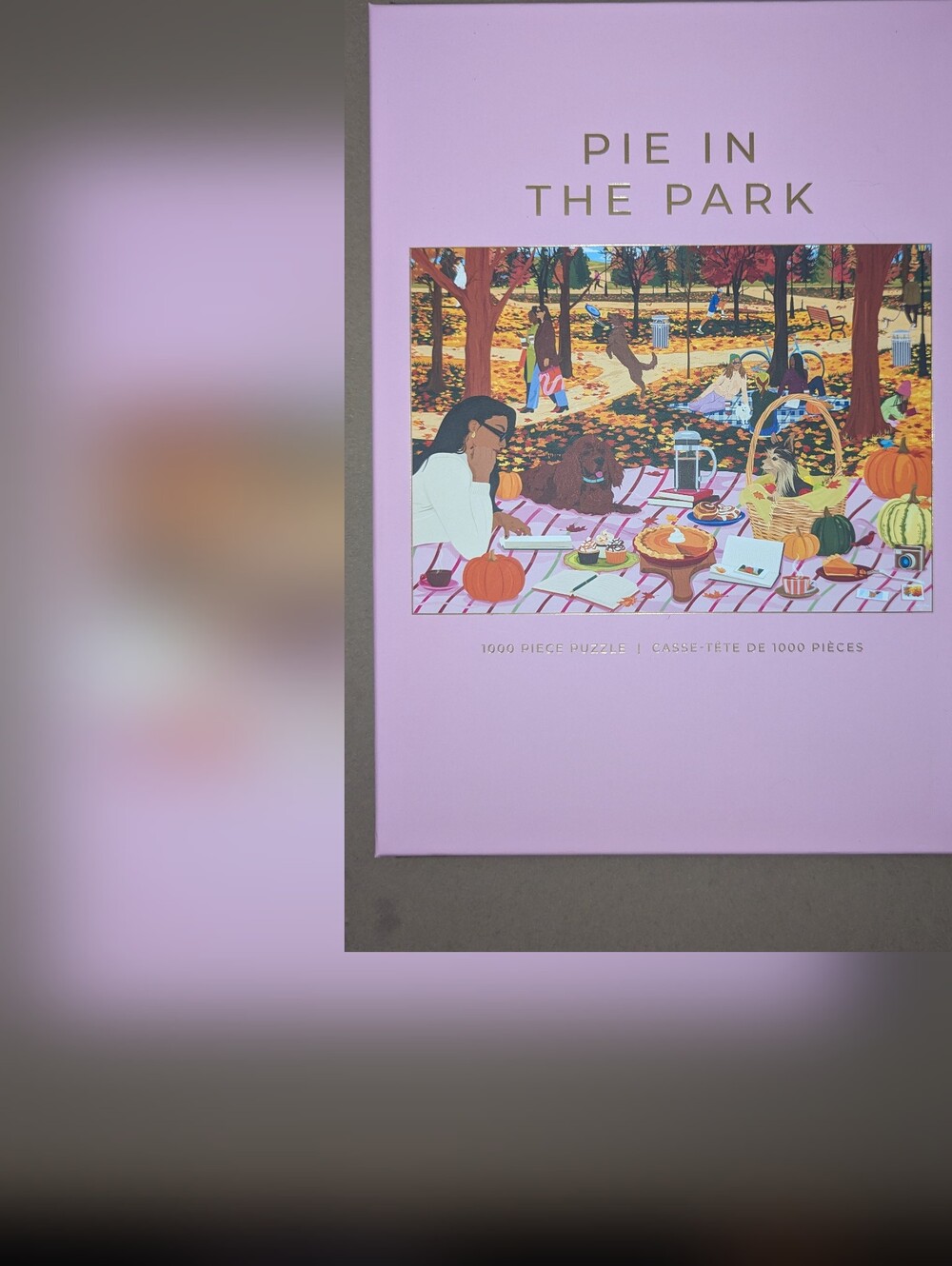 NEW - 1000 PIECE HOBBRY PUZZLE - PIE IN THE PARK
